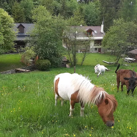 Konzajf *